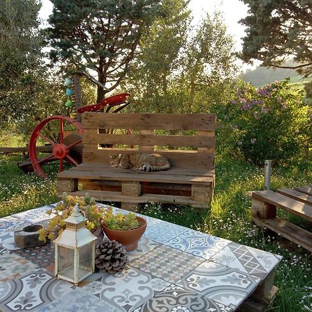 Agriturismo Santa Bruna Volterra Ngoại thất bức ảnh