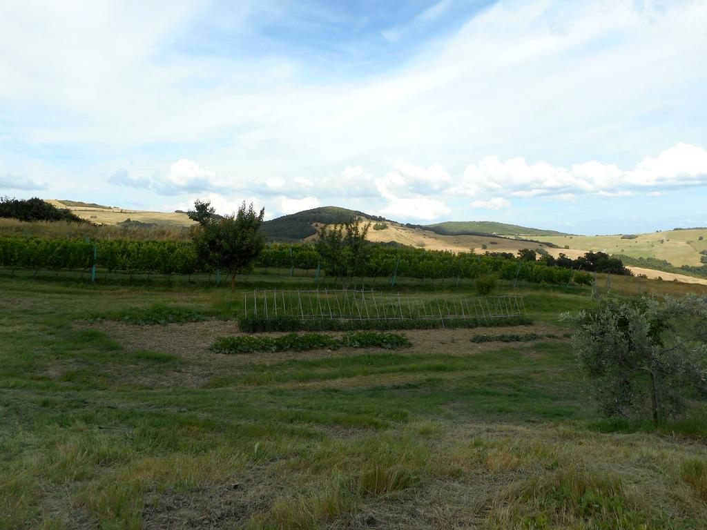 Agriturismo Santa Bruna Volterra Ngoại thất bức ảnh