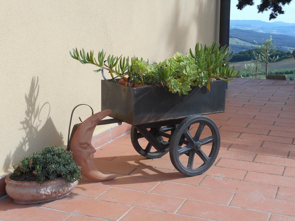 Agriturismo Santa Bruna Volterra Ngoại thất bức ảnh