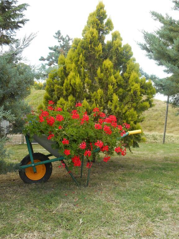 Agriturismo Santa Bruna Volterra Ngoại thất bức ảnh