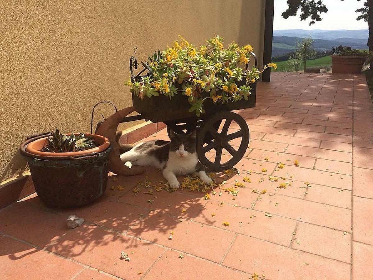 Agriturismo Santa Bruna Volterra Ngoại thất bức ảnh